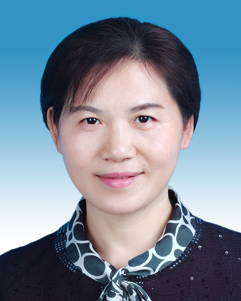 党委委员、副校长 莫文斌