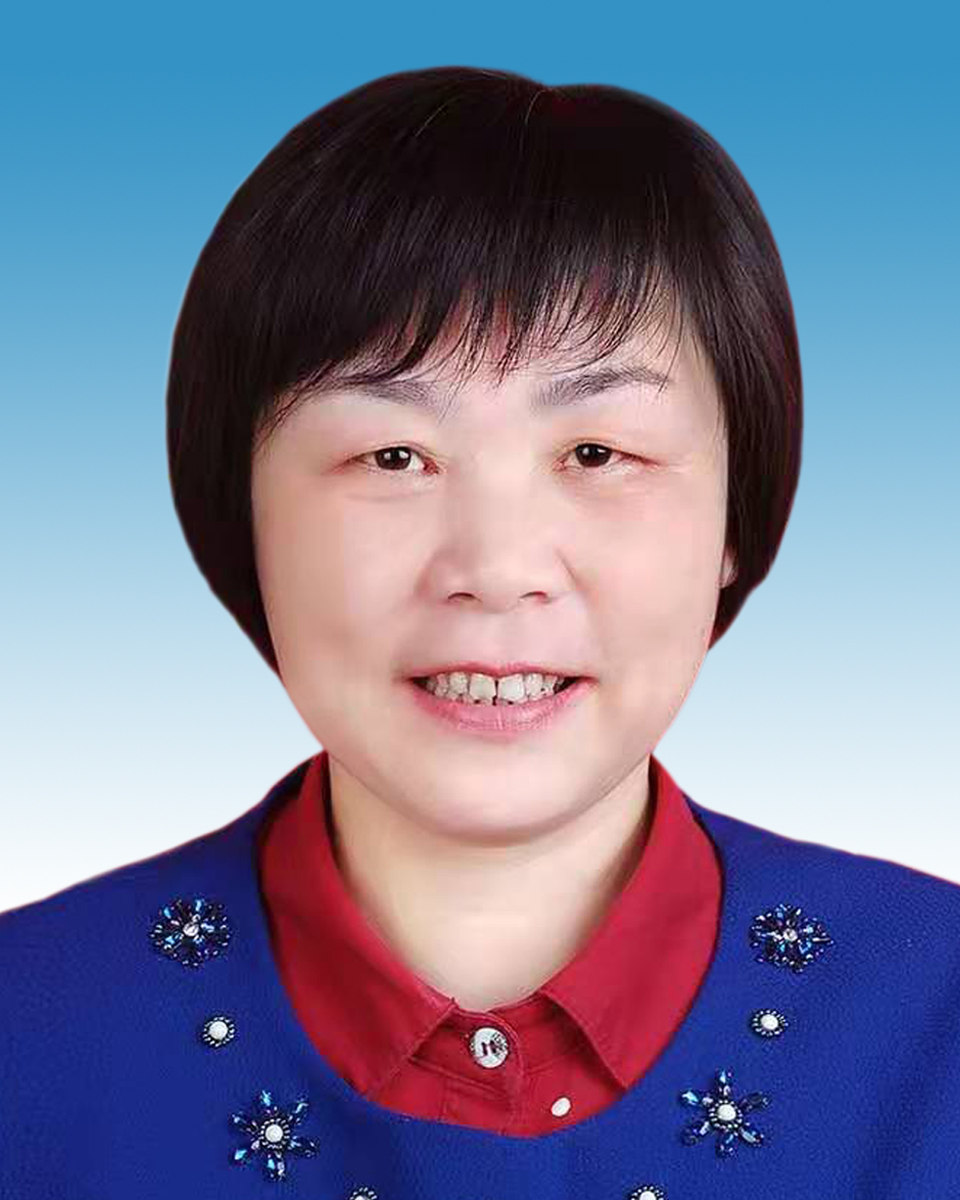 党委副书记、组织部部长 贺江平