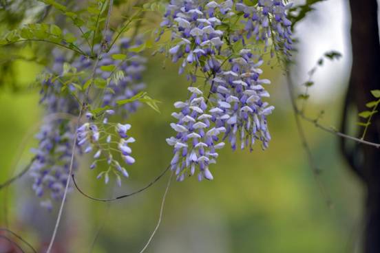 4bbee18caac762fa9b875d8007f8d18